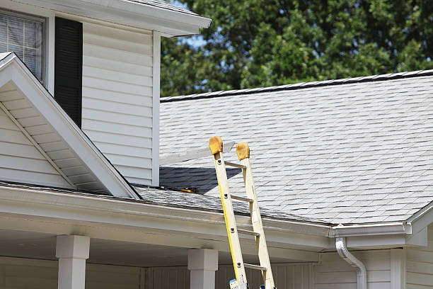 Shed Removal in Chauvin, LA